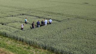 Monsanto aún siembra la semilla de la duda en Bayer