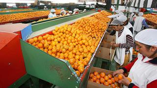 Exportación de mandarinas crecerá 15% el 2020 pese a contracción de demanda desde junio