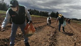 Trabajadores con bajo riesgo de exposición al COVID no deben acreditar vacunación hasta por 30 días