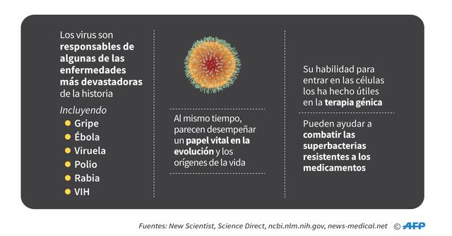 FOTO 8 | Los virus son responsables de
algunas de las enfermedades más devastadoras de la historia.