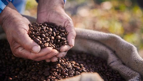 Nuestro país exporta aproximadamente 2/3 de su producción como café convencional y 1/3 como cafés especiales o cafés certificados, uno de estos es el café orgánico. (Foto: Istock)