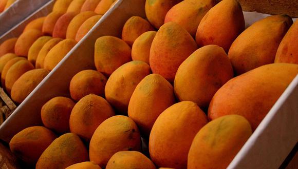 En esta nueva campaña de producción y exportación de mango entrarían un aproximado de 80 empresas. (Foto: Andina)