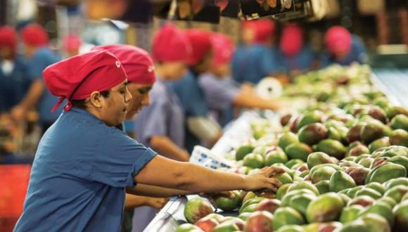 Empresas exportadoras peruanas llegan a más de 3,000, incrementando cifras del 2023. Foto: gob.pe