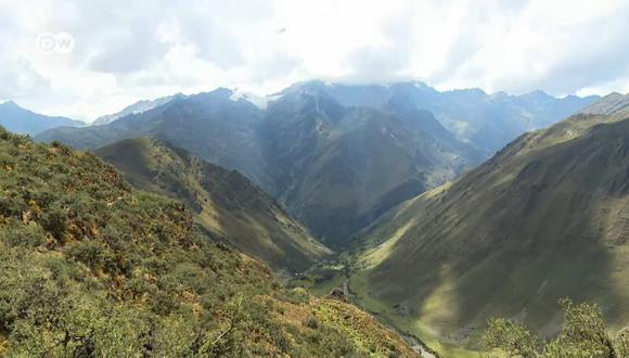 Perú: nuevos bosques para los incas