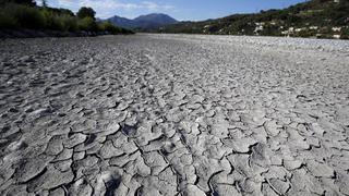 La peor sequía en décadas pone en alerta la energía y el campo de Brasil