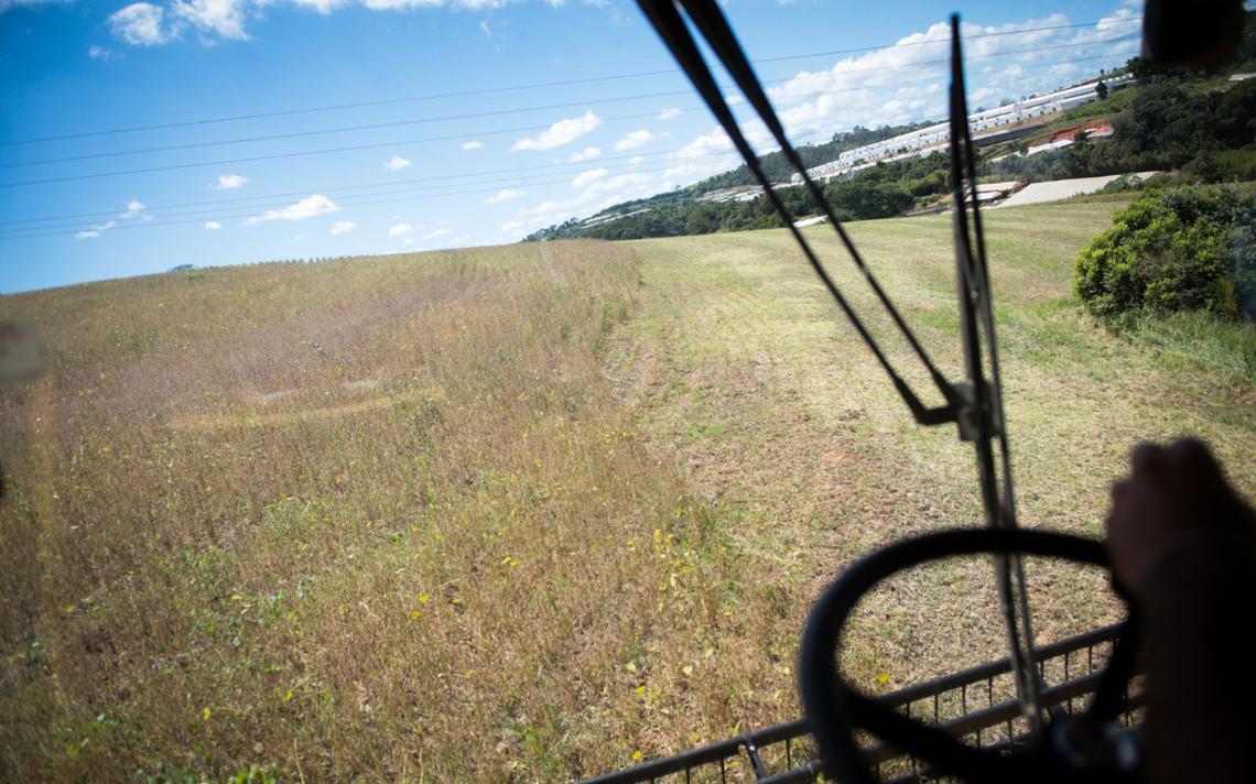 Los precios en Brasil ya están subiendo por las perspectivas de una escasez de suministros.