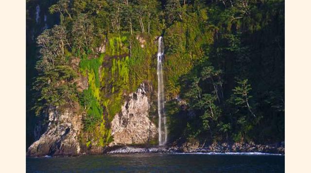 Isla del Coco, Costa Rica. Con casi 550 kilómetros de costa en el Pacífico, es la isla deshabitada más grande del mundo. Se formó por un volcán y es conocida por su exuberante vegetación y su fauna. Cientos de tiburones martillo habitan en la costa de la 