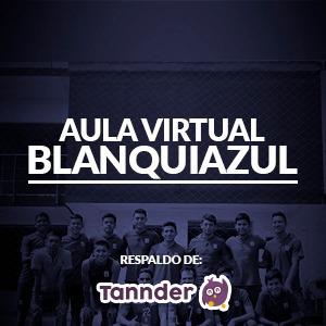 Aula Virtual de Alianza Lima para sus divisiones menores. (Crédito: Alianza Lima)