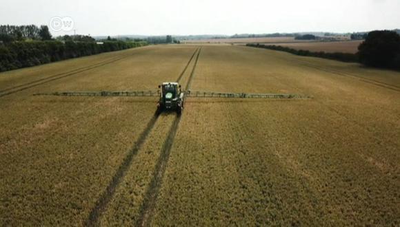 Brexit amenaza agricultura británica