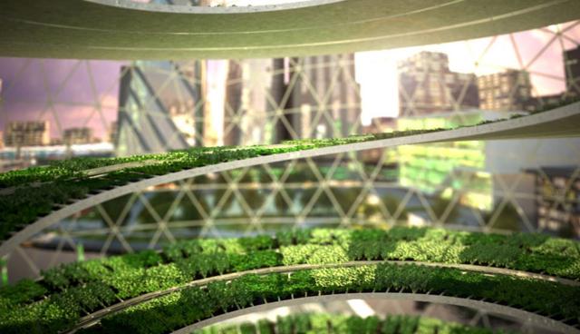 FOTO 9 | Comida a la medida: la industria alimentaria está experimentando las corrientes de la disrupción, enfocándose en desarrollar proteínas diseñadas, utilizando la biotecnología y digitalmente manejando granjas inteligentes y verticales que sean sostenibles y generen mayor rendimiento en menor espacio.