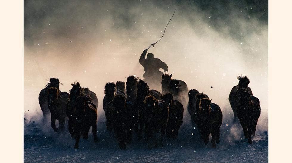 Winter Horseman. Foto de Anthony Lau de un jinete en Mongolia. Ganadora del primer puesto general. (Foto: National Geographic)