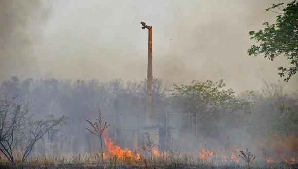 El mes pasado reveló cifras preocupantes para la selva tropical, clave para detener el cambio climático: el INPE detectó 5,373 incendios en julio, un 8% por encima del mismo mes del 2021. (Foto: Rogerio Florentino | EFE)