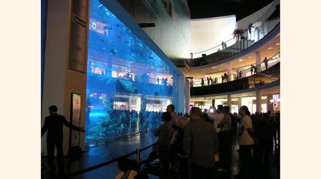 Dubai Aquarium