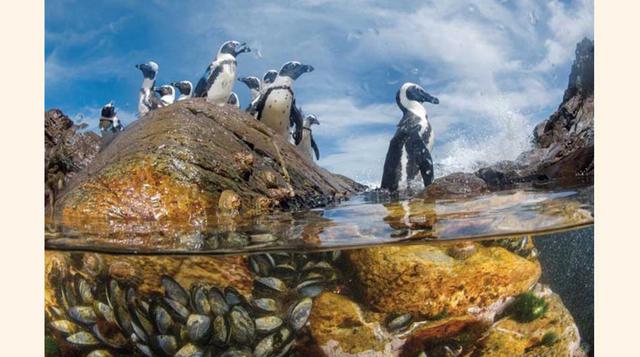9. Costa de los Esqueletos, Namibia.  (Foto: THOMAS P. PESCHAK, NATIONAL GEOGRAPHIC CREATIVE)