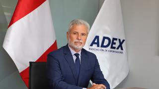 Adex: “Las esperanzas de que el presidente anuncie cambios en su mensaje son mínimas”