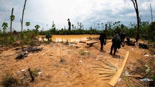 Crimen organizado de la Amazonía brasileña tiene ramificaciones en Sudamérica