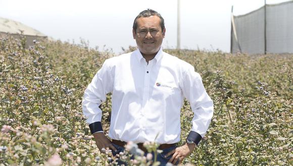 Carlos Gereda, presidente de Inka’s Berries. En la última campaña exportó 2 millones de kilos de arándanos. (Foto: Difusión)