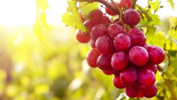 La uva es una de las agroexportaciones de mayor dinamismo en el Perú. (Foto: Difusión)