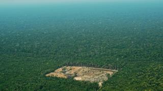 “Operación Éxodo”: mineros ilegales huyen de la Amazonía brasileña