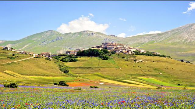 La pequeña ciudad de Castelluccio di Norcia se sitúa cerca de Norcia, en Umbría (Italia). La comunidad es famosa por su brillante conjunto de flores que florecen desde finales de mayo hasta principios de julio. (Foto Business Insider)