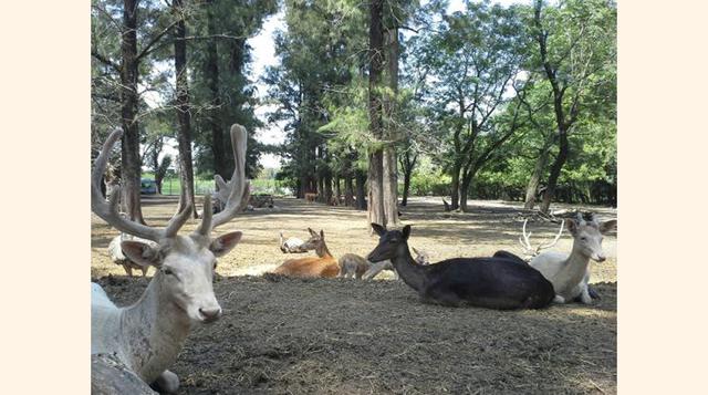 ZOO Luján,  Lujan, Argentina. “La mejor experiencia de mi vida”