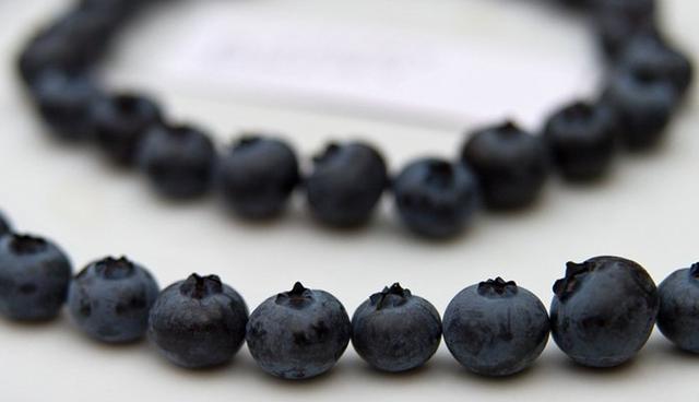 FOTO 1 | Arándanos. Una fruta útil para nutrir a tu organismo, y actúa como antioxidante. Sus beneficios sirven para evitar las enfermedades degenerativas como el Alzheimer.