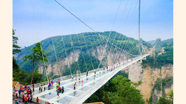 FOTO 14 | El puente con superficie de vidrio sobre el Gran Cañón de Zhangjiajie tiene 430 metros de longitud. Unos días después de su apertura en 2016, el puente debió cerrarse ya que recibió una cantidad abrumadora de visitantes. Desde entonces, ya ha reabierto sus puertas.