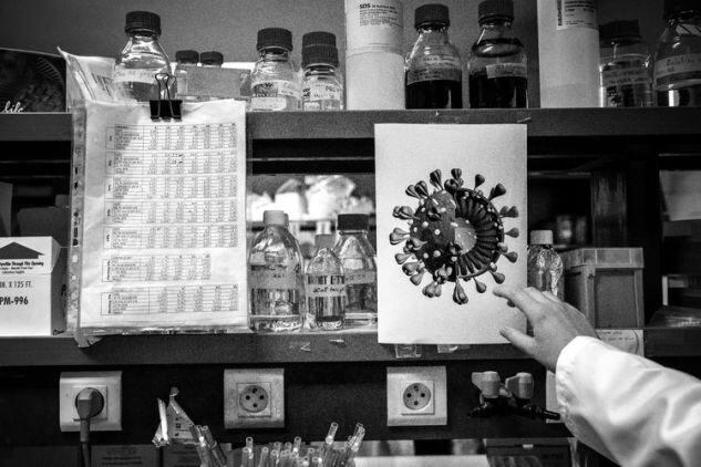 Si bien es probable que pase un año o más antes de que una vacuna esté lista, hay una creciente esperanza de que los medicamentos para tratar a los pacientes con Covid-19 puedan aliviar los efectos de la enfermedad. (Foto: Bloomberg)