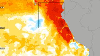 Probabilidad de El Niño en el 2024 en Perú es del 77%: ¿cuáles son los escenarios?