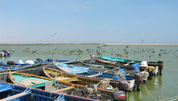 En la Bahía de Sechura se concentra el 80% de la producción de conchas de abanico.