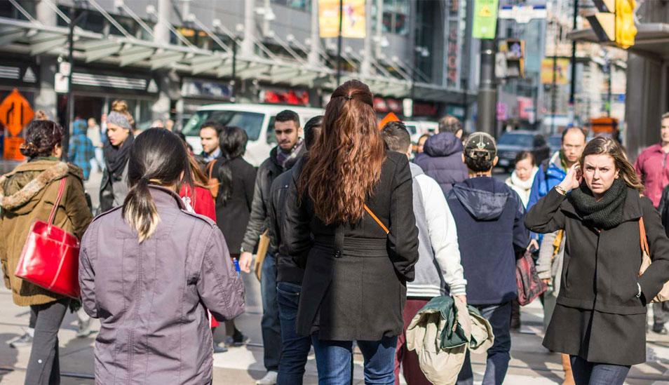 FOTO | (Foto: gorizia)