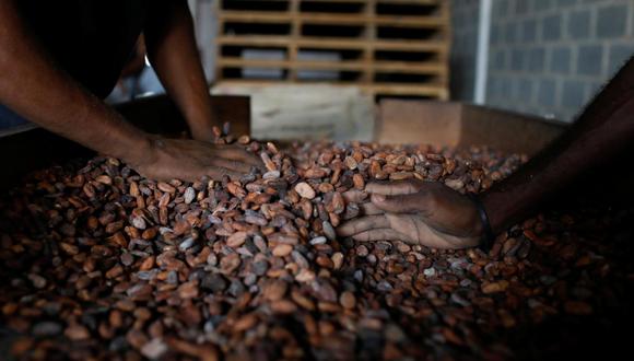 Cacao. (Foto: Reuters).
