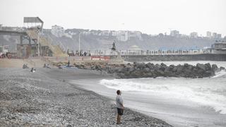 Minsa define este lunes si se cierran playas por gripe aviar en Perú