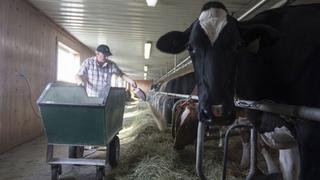 Sector lácteo de Canadá podría ser moneda de cambio en el TLCAN