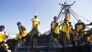 Operación de Copeinca impulsa ventas de China Fishery Group