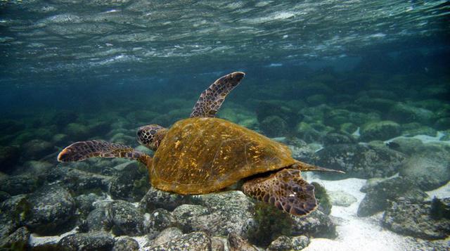 8.      Islas San Cristóbal (Ecuador) (Foto: AFP/Getty)