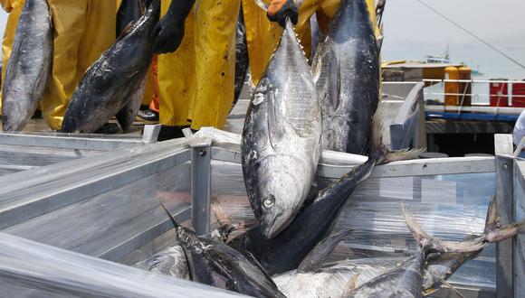 Produce sí evalúa cobro de Sunat a flota extranjera de atún (Foto: GEC)