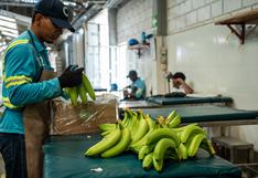 Rezago de PBI de Colombia refuerza argumentos para más flexibilización