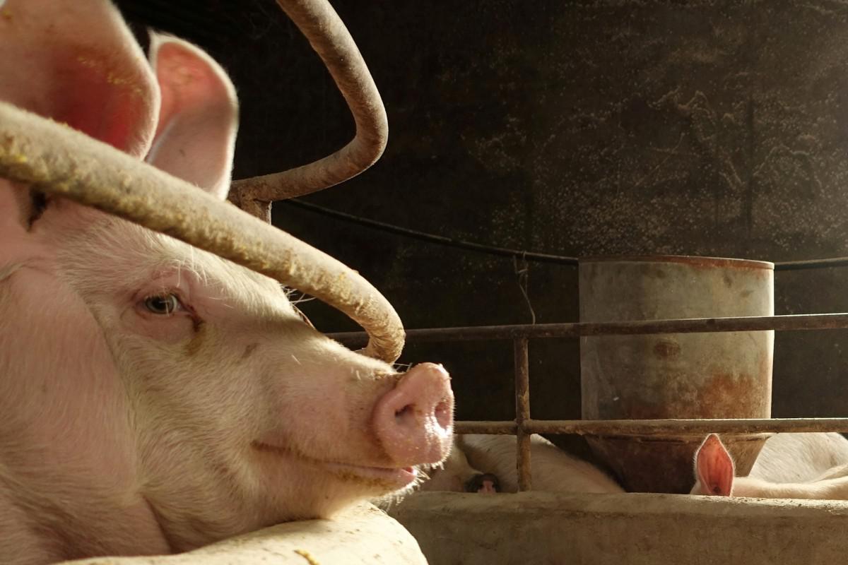 AGCO cuenta con varias unidades de fabricación y montaje en el gigante asiático, además de su oficina central regional en Pekín.