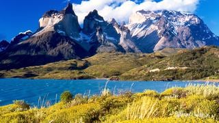 Científicos encuentran cuatro tipos de dinosaurios en la Patagonia chilena