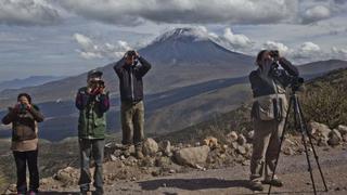 Se observaron unas 140 especies de aves durante el Big Day Arequipa