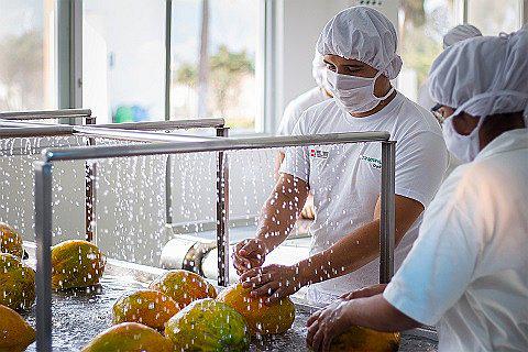 Fondos para la innovación