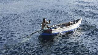 Perú se une con Bolivia para evitar disminución de peces nativos del Titicaca