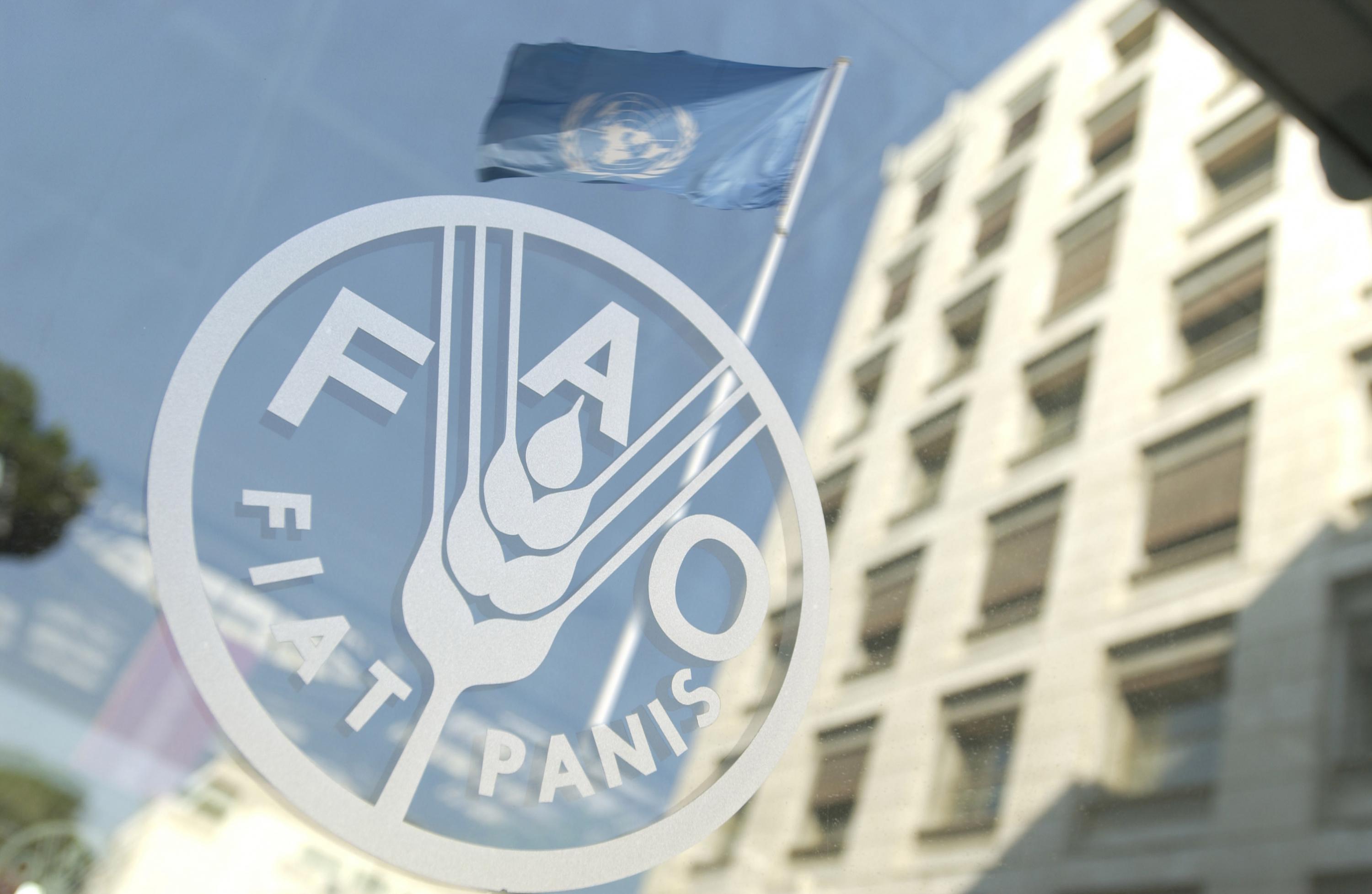 La FAO es el brazo de alimentación y agro de la ONU. (Foto: AFP)