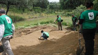 WWF planta árboles para concienciar sobre la reforestación