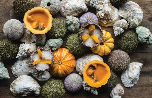 11. Restaurante "Blue Hill At Stone Barns" en Nueva York (Estados Unidos). Sea urchin and kabocha (Foto: Daniel Krieger)