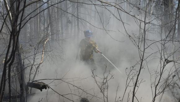Preocupación en Canadá por incendios forestales en el noroeste de ese país. (Foto: EFE)