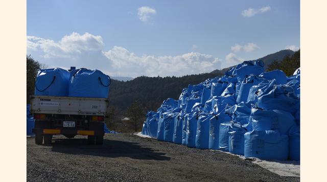 Se calcula que anualmente circulan en el planeta entre 500,000 millones y un billón de bolsas de plástico que agotan los recursos naturales, consumen energía para su manufactura, crean basura, asfixian especies marinas y aumentan los rellenos sanitarios. 