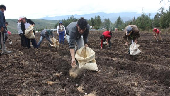 El Minagri busca fortalecer la agricultura familiar. (Foto: GEC)