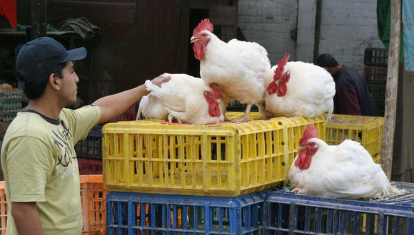 Casos de influenza aviar han ido disminuyendo en las últimas semanas en Perú. (Foto: Andina)